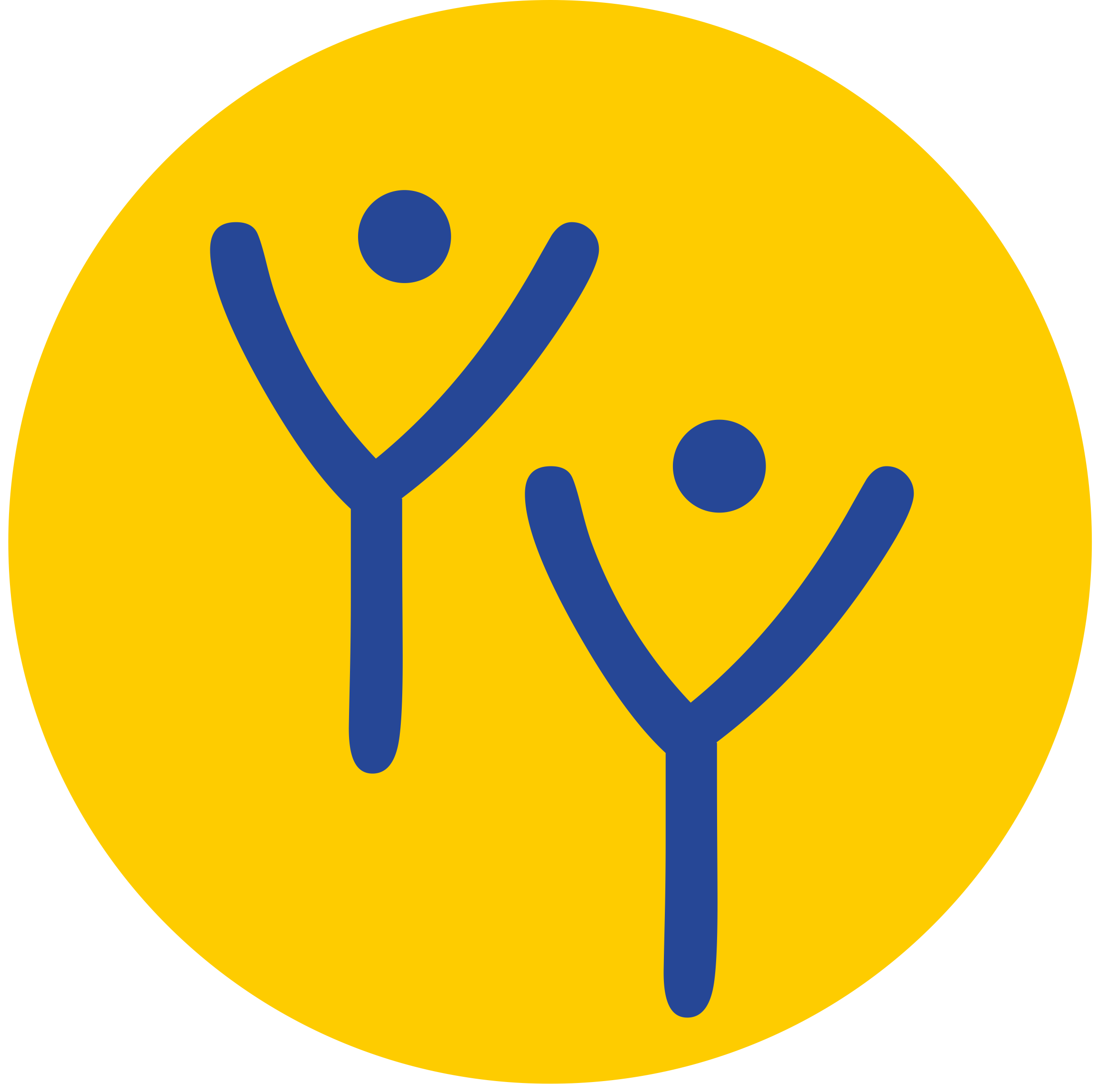 Yansh Yoga Logo Icon